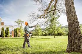 Best Lawn Watering Services  in Henderson, GA