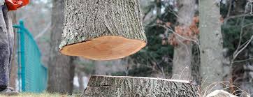 Best Commercial Tree Services  in Henderson, GA